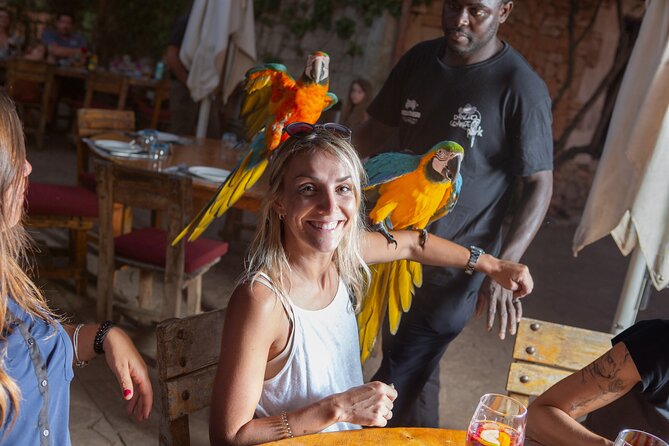 Mallorca Evening Tour: Horseback Riding, Dinner and Dance - Dinner at the Ranch: BBQ, Sangria, and How It’s Actually Served