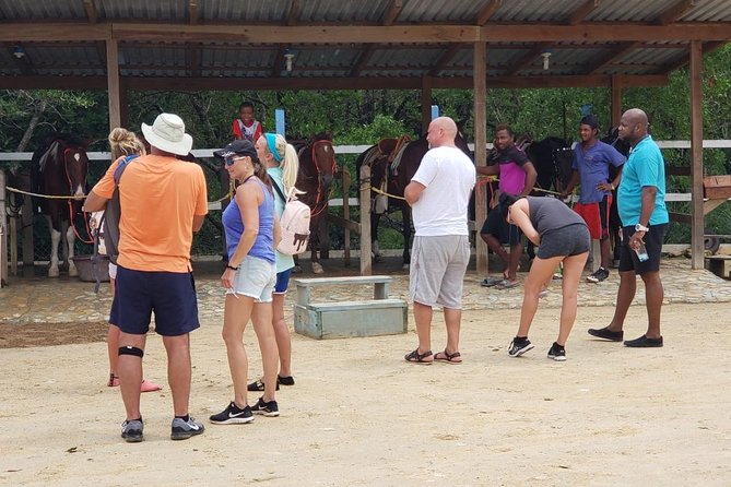 Mangrove tour,Horseback Riding, Snorkeling and beach in Roatan - Key Highlights You’ll Care About