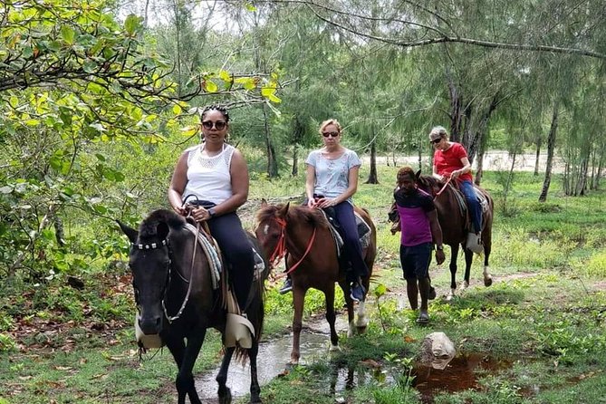 Mangrove tour,Horseback Riding, Snorkeling and beach in Roatan - Getting From Coxen Hole or Mahogany Bay: The Pickup Reality Check