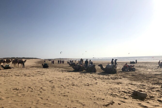 Marrakech Day Trip to Essaouira - Horseback, Camel Ride, ATV on the Beach - Key things you’ll notice on this Essaouira day trip