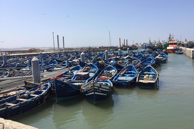 Marrakech Day Trip to Essaouira - Horseback, Camel Ride, ATV on the Beach - Beach rides: 15 minutes on camel or horse, plus optional ATV