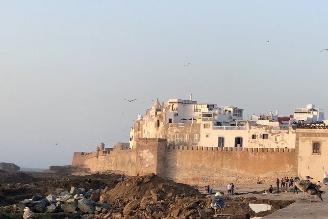 Marrakech Day Trip to Essaouira - Horseback, Camel Ride, ATV on the Beach - Argan oil cooperative visit: more than souvenir shopping