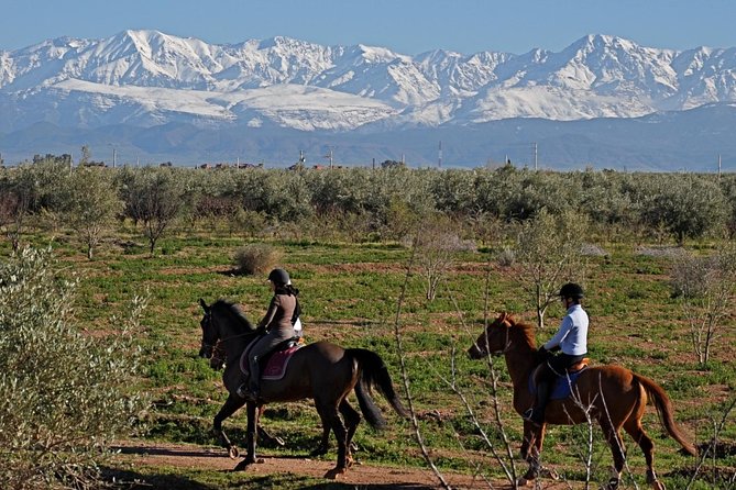 Marrakech Horse Riding - Key things to know before you go