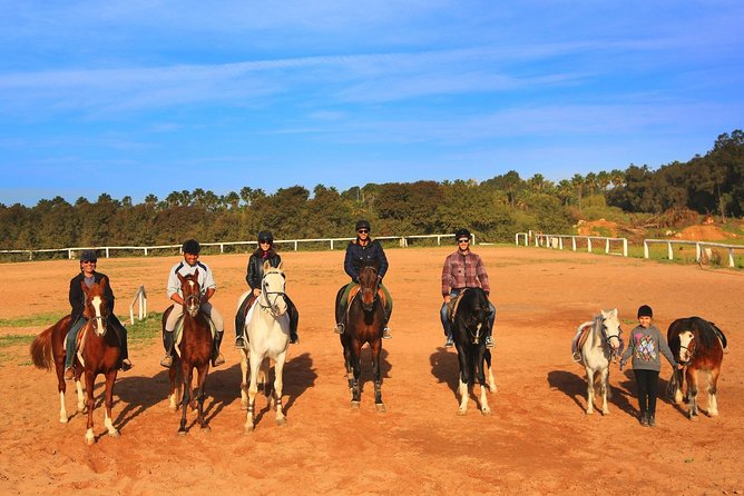 Marrakech Horse Riding - Getting There: Door-to-Door Transfers and a Small Group