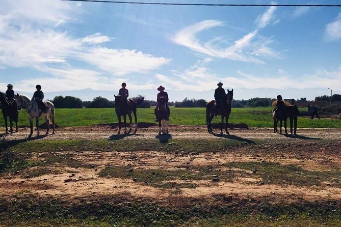 Marrakech Horse Riding - Where This Fits in Your Marrakech Plan