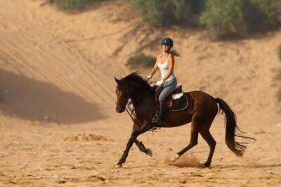 Marrakech Horse Riding - Choosing the Right Horse and Ride Pace