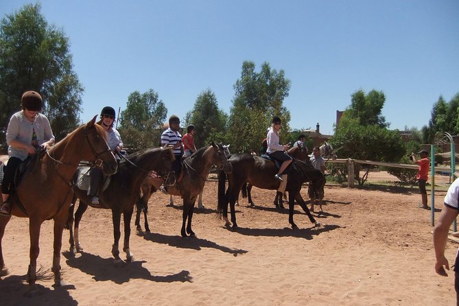 Marrakech Horse Riding - Who Should Book This Horse Ride—and Who Should Skip