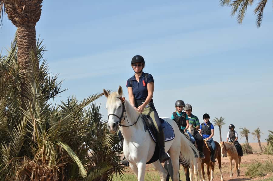Marrakech: Palm Grove Horseback Riding Tour - Key highlights that matter on the ground
