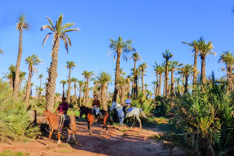 Marrakech: Palm Grove Horseback Riding Tour - Getting there: AC pickup and a real view of Marrakech life
