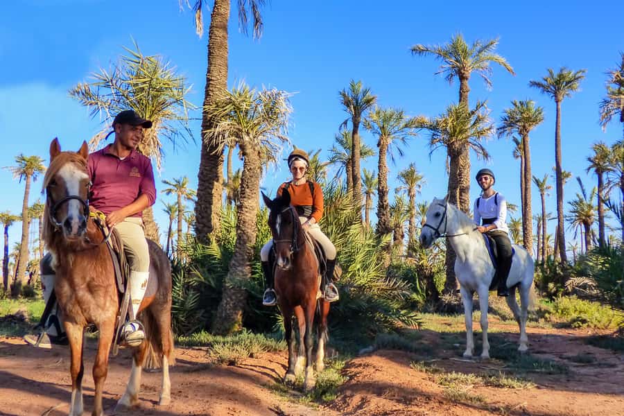 Marrakech: Palm Grove Horseback Riding Tour - The Palmeraie ride: 100,000+ palms and a pace that fits your comfort