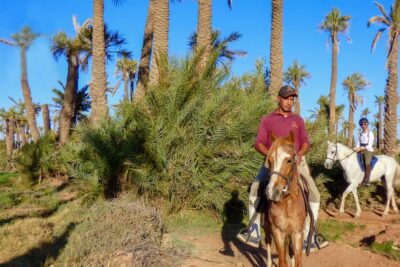 Marrakech: Palm Grove Horseback Riding Tour - Meet the horses: protective gear and support when you need it