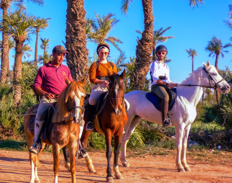 Marrakech: Palm Grove Horseback Riding Tour - Who should book this Marrakech Palmeraie horseback tour