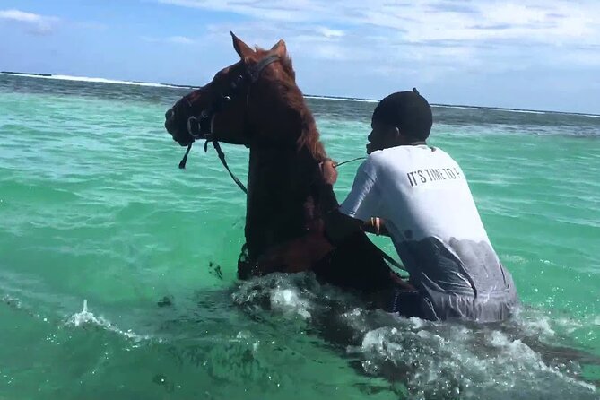 Martha Brae Rafting, Horseback Riding and Luminous Lagoon - Triple Treat - Key things I’d circle before you book