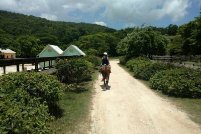 Martha Brae Rafting, Horseback Riding and Luminous Lagoon - Triple Treat - Martha Brae Rafting Village: the one-hour float on the famous river