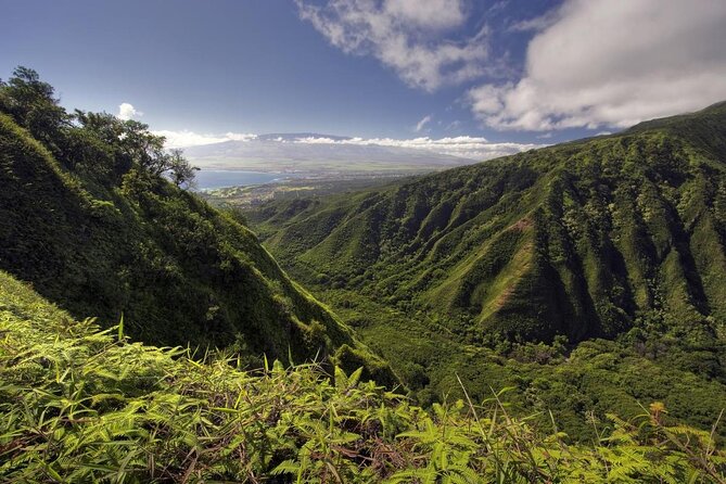 Maui Horseback Adventure at Circle M Ranch With Real Cowboys - Quick Take: Circle M Ranch Maui at a Glance