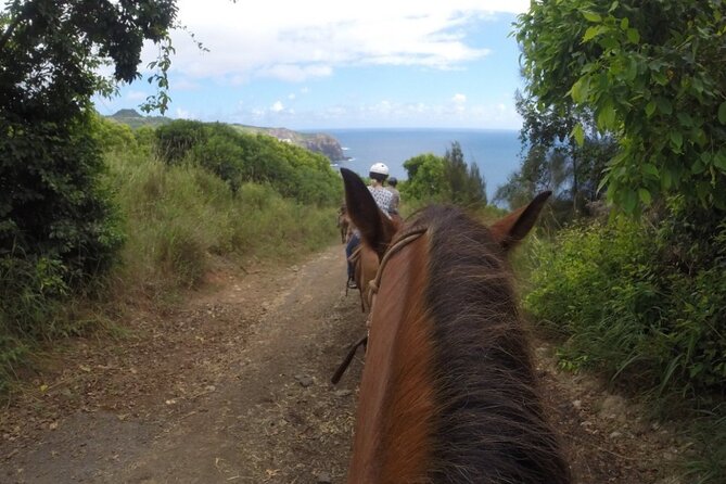 Maui Horseback Adventure at Circle M Ranch With Real Cowboys - Up Through Taro Patches and Plantation Homes