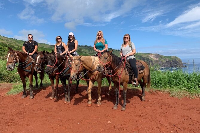 Maui Horseback Adventure at Circle M Ranch With Real Cowboys - Price and Value: Is $185.20 Worth It?