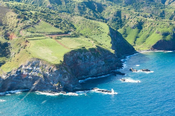Maui Horseback Adventure at Circle M Ranch With Real Cowboys - Who This Tour Fits Best (And Who Might Be Happier Elsewhere)