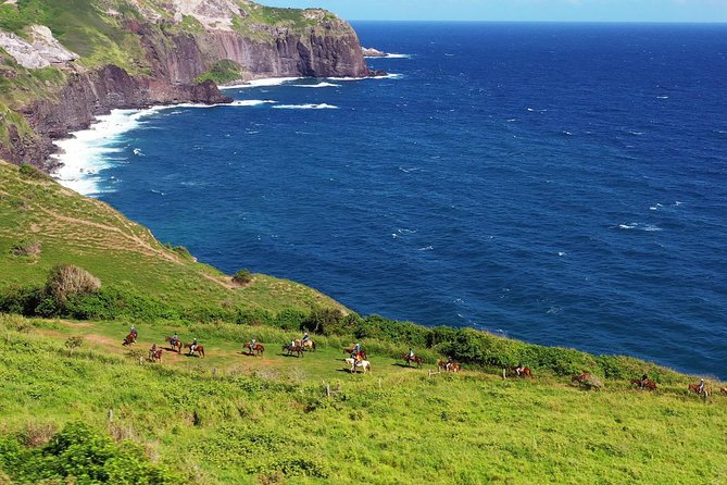 Maui Horseback Adventure at Circle M Ranch With Real Cowboys - Your 45 Minutes of Briefing and Horse Matching