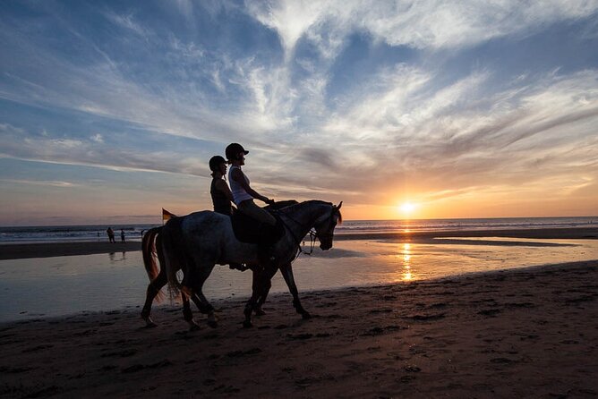 Mauritius Horse Riding at Riambel - Key Things to Know Before You Go