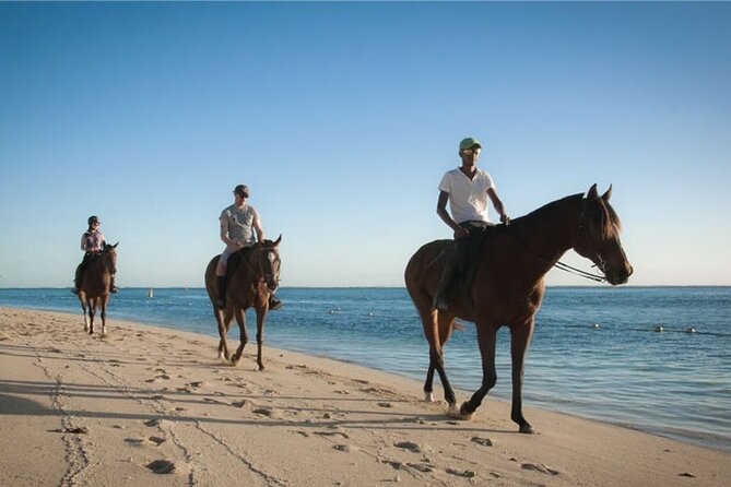 Mauritius Horse Riding at Riambel - Day Ride vs Sunset Ride (And the Timing Reality)