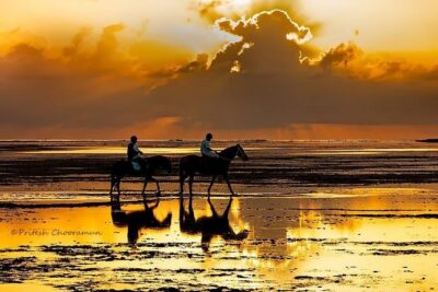 Mauritius Horse Riding at Riambel - How the 1-Hour Ride Actually Plays Out
