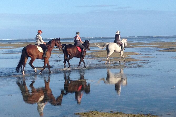 Mauritius Horse Riding at Riambel - Beach-Only Riding: What You Should Expect (No Sea Splashes)