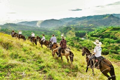 Medellin: Horseback Riding Adventure In Nature (Don't Overpay) - Riding comfort: what the horse quality means for beginners
