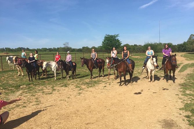 Memphis Horseback Trail Ride Tour - Key highlights at a glance