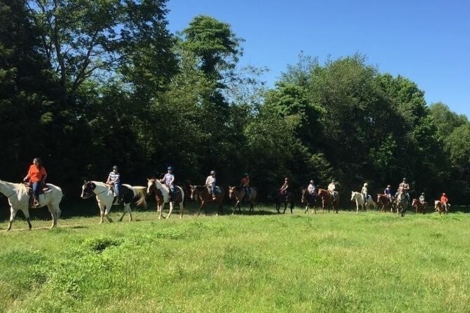 Memphis Horseback Trail Ride Tour - What happens during the ride (and what you’ll feel)