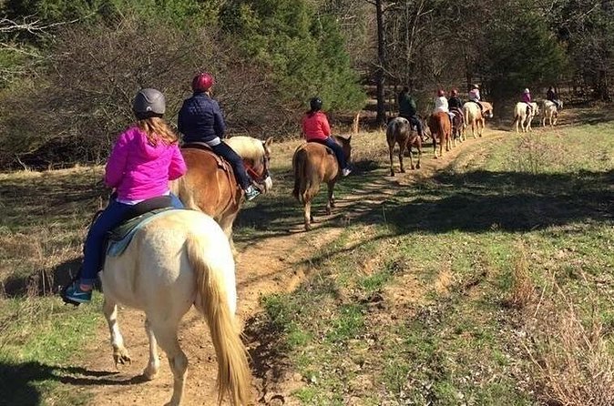 Memphis Horseback Trail Ride Tour - Wildlife spotting: when Memphis gets quietly wild