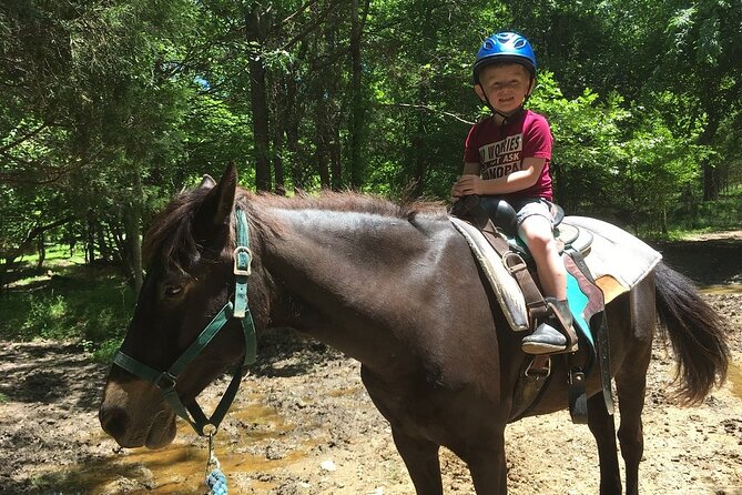 Memphis Horseback Trail Ride Tour - Price and timing: why $85 can make sense