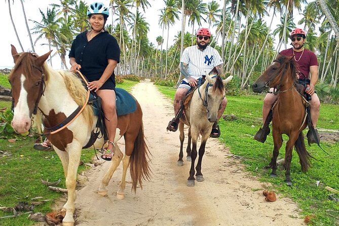Miches Beach Horseback Riding - From Punta Cana to the Ranch: Pickup and the Open-Air Truck Ride Out