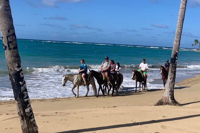 Miches Beach Horseback Riding - Atlantic Views and Palm-Side Nature: Riding With the Coast in Both Directions