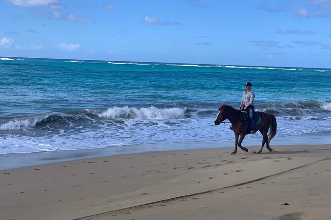 Miches Beach Horseback Riding - How the Half-Day Duration Works: Pacing, Group Size, and Real Availability