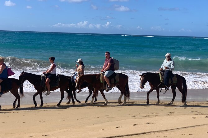 Miches Beach Horseback Riding - Price and Value: Is $70 Worth It for a 4-Hour Beach Ride?
