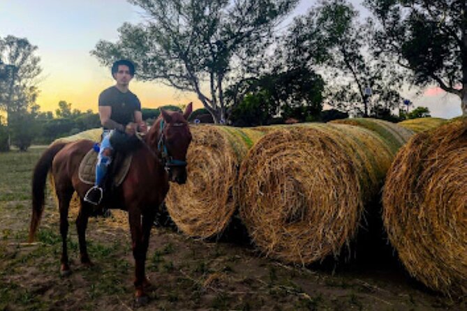 Middle day out of Rome on Horseback with meals included - The food setup: dinner, lunch, breakfast, and aperitivo that keeps you in the plan