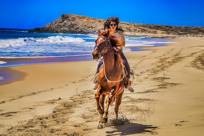 Migriño Beach Horseback Riding Experience - Coastline Views, Photo Ops, and Wildlife Along the Way