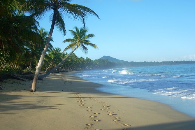 Montaña Redonda & Horseback Riding 2-in-1 Tour from Punta Cana - The Included Montaña Redonda Lunch: Why It Matters