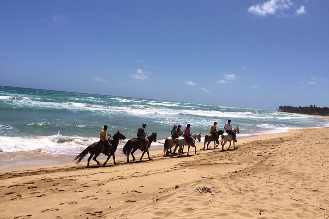 Montaña Redonda & Horseback Riding 2-in-1 Tour from Punta Cana - Your Private Guide: Carlos and the Photo-Savvy Touch