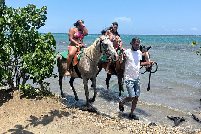 Montego Bay Beach Horseback Riding Tour - Why This Montego Bay Beach Ride Feels Easy Right From Your Hotel