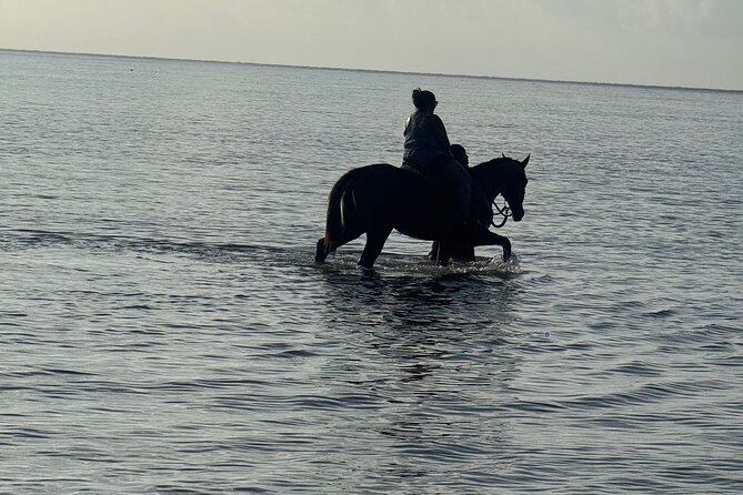 Montego Bay Beach Horseback Riding Tour - Guides Who Keep Calm When It Gets Nerve-Wracking