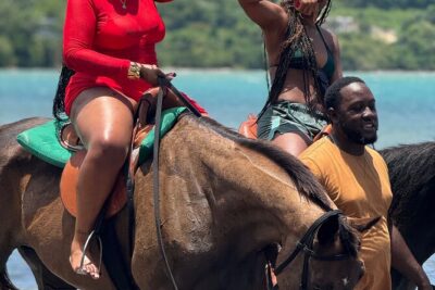 Montego Bay Beach Horseback Riding Tour - Getting Matched With Your Horse and a Real Safety Brief