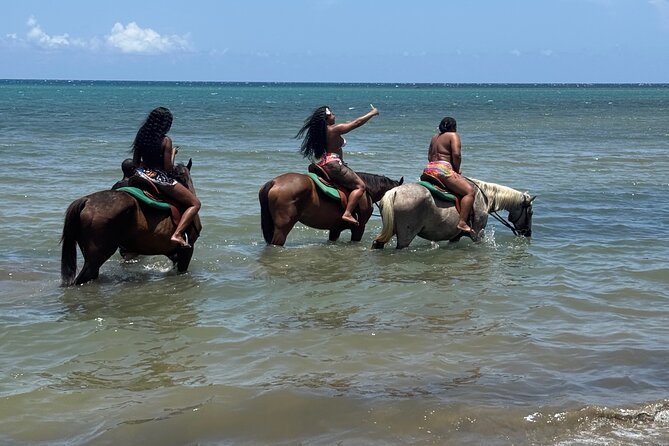 Montego Bay Beach Horseback Riding Tour - Meeting Point, Pickup, and the Two-Hour Reality Check