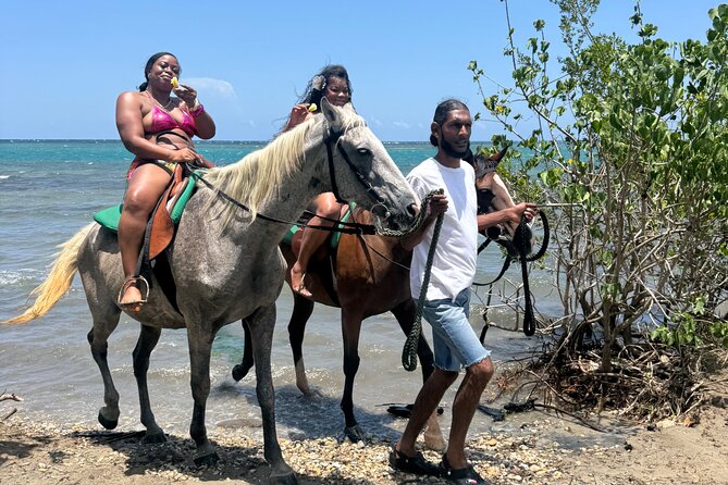 Montego Bay Beach Horseback Riding Tour - What’s Included (and What You’ll Need to Handle)