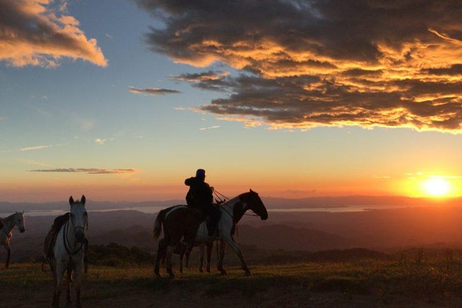 Monteverde Cloud Forest Horseback Riding - Key things to know before you ride
