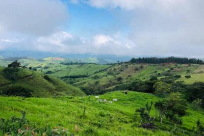 Monteverde Cloud Forest Horseback Riding - Picking the best time: 8:00 am birds, 11:00 am clarity, 3:00 pm sunset