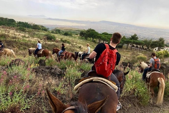 Mount Vesuvius Guided Horse Riding Tour with Sample Wine - Who This Tour Suits Best (And Who Should Be Cautious)