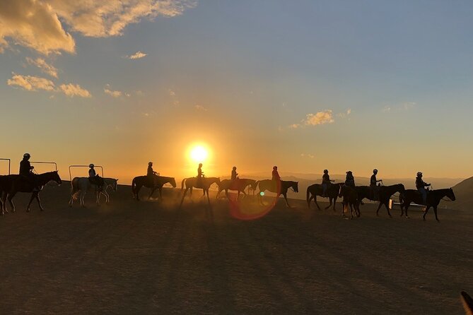 Mulholland Trail Horseback Tour - What to Wear for a Comfortable Saddle Hour