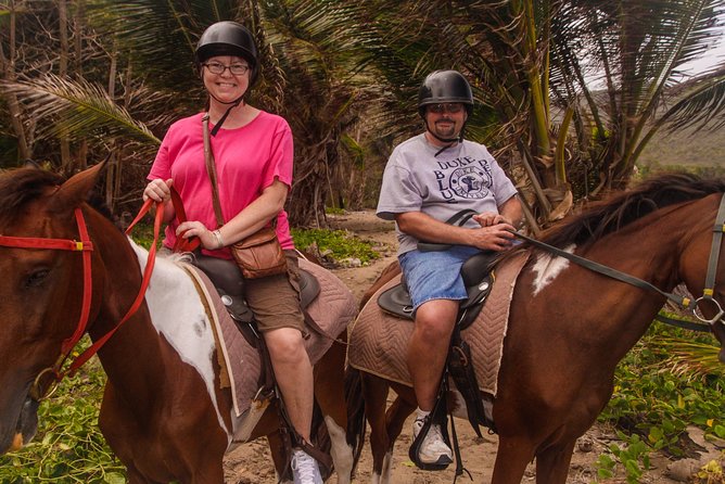 Nature & Historical Horseback Riding Tours St. Lucia - Beach break: swimming option, calm horse downtime, and coconut-style refreshments